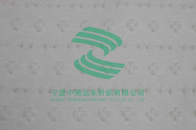 氨纶单面小提花布(图1)