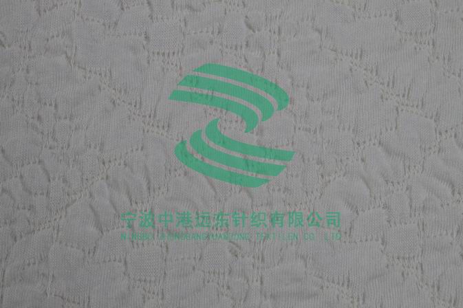 单面大电脑提花布(图1)
