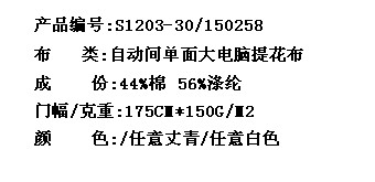 自动间单面大电脑提花布(图2)