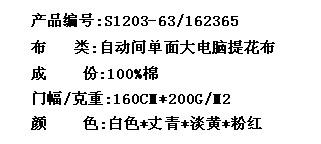 自动间单面大电脑提花布(图2)