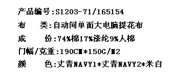 自动间单面大电脑提花布(图2)