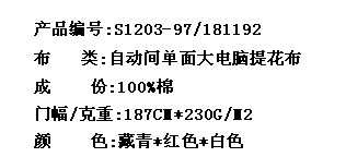 自动间单面大电脑提花布(图2)