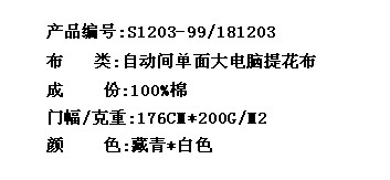 自动间单面大电脑提花布(图2)