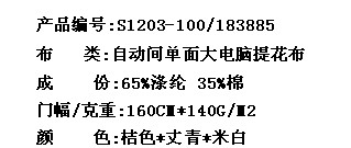 自动间单面大电脑提花布(图2)