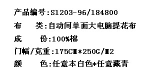 自动间单面大电脑提花布(图2)