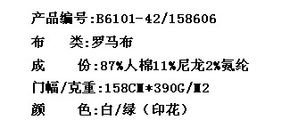 罗马布(印花)(图2)