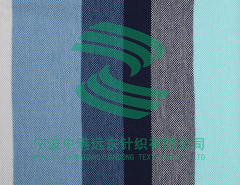 Auto Stripe Oxford Single Pique(图1)