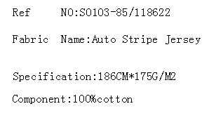 Auto Stripe Jersey(图2)