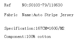 Auto Stripe Jersey(图2)