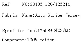 Auto Stripe Jersey(图2)