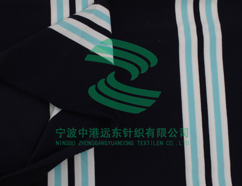 Auto Stripe Single Pique(图1)