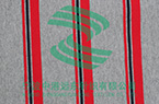 Auto Stripe french