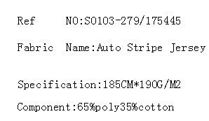 Auto Stripe Jersey(图2)