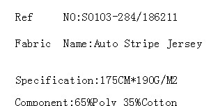 Auto Stripe Jersey(图2)