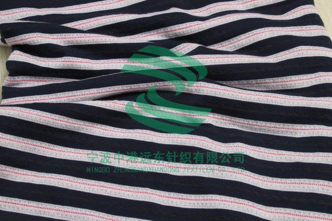 Auto Stripe Single electronic Jacquard Knit(图1)