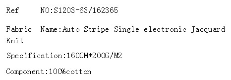 Auto Stripe Single electronic Jacquard Knit(图2)