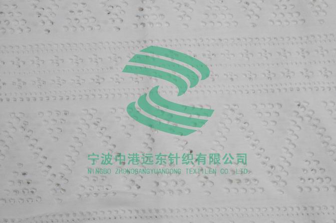 Auto Stripe Single electronic Jacquard Knit(图1)