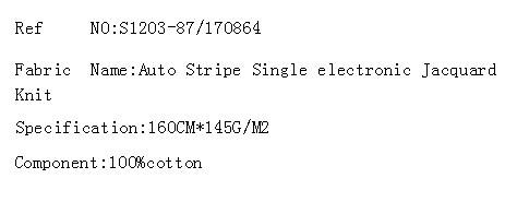 Auto Stripe Single electronic Jacquard Knit(图2)