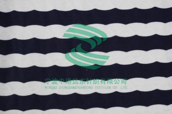 Auto Stripe Single electronic Jacquard Knit(图1)