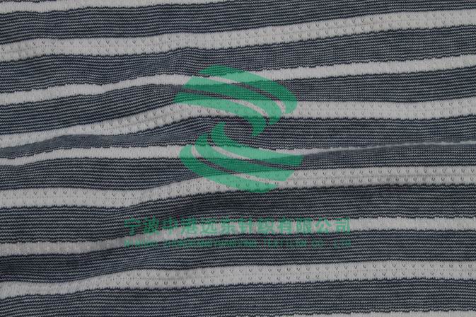 Auto Stripe Single electronic Jacquard Knit(图1)