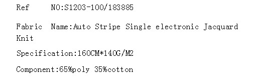 Auto Stripe Single electronic Jacquard Knit(图2)