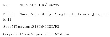 Auto Stripe Single electronic Jacquard Knit(图2)