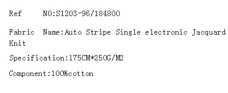 Auto Stripe Single electronic Jacquard Knit(图2)