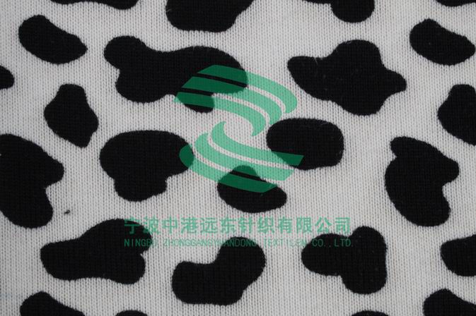 Terry With Drushed(图1)