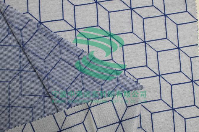 Electronic Jacquard Double Knit y/d(图1)