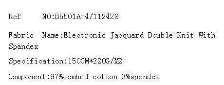 Electronic Jacquard Double Knit With Spandex(图2)