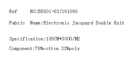 Electronic Jacquard Double Knit(图2)