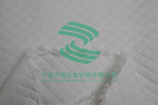 Electronic Jacquard Double Knit(图1)