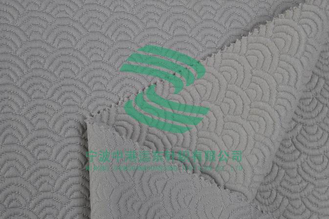 Electronic Jacquard Double Knit(图1)