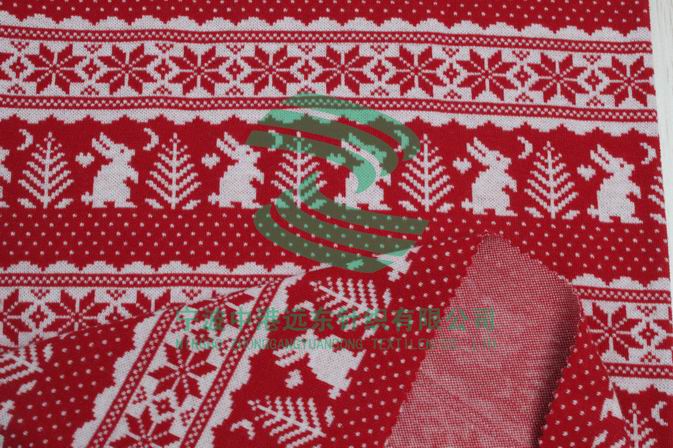 Electronic Jacquard Double Knit With Spancex y/d(图1)