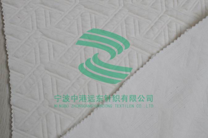 Electronic Jacquard Double Knit(图1)