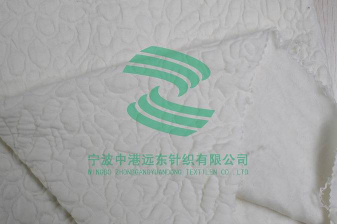 Electronic Jacquard Double Knit(图1)