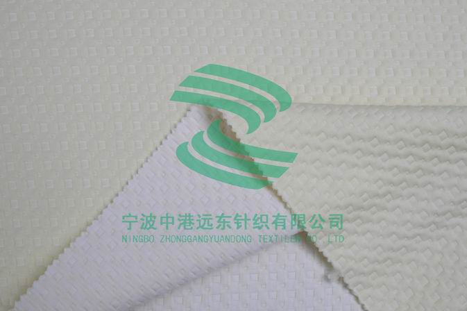 Electronic Jacquard Double Knit(图1)