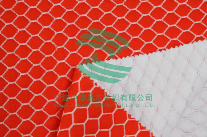 Electronic Jacquard Double Knit(图1)