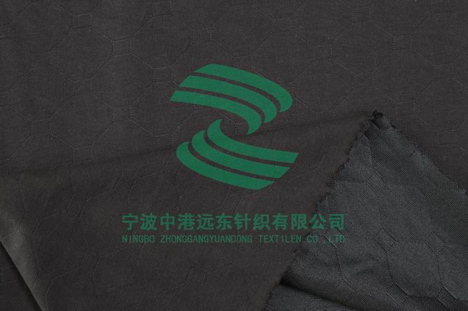 Electronic Jacquard Double Knit(图1)