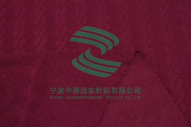 Electronic Jacquard Double Knit With Spandex(图1)