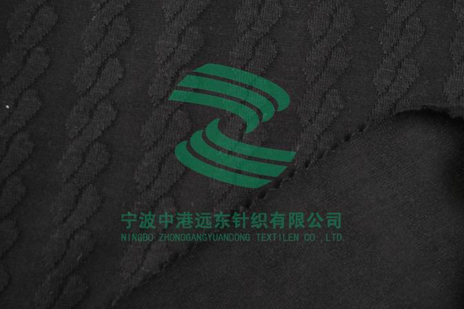 Electronic Jacquard Double Knit With Spandex(图1)