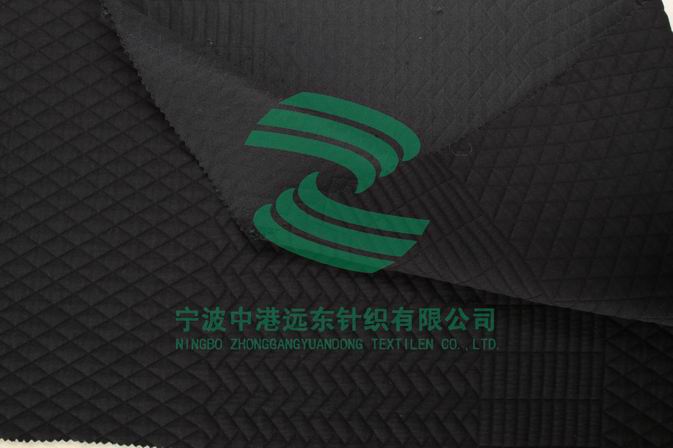 Electronic Jacquard Double Knit(图1)