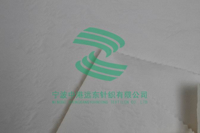 Electronic Jacquard Double Knit(图1)