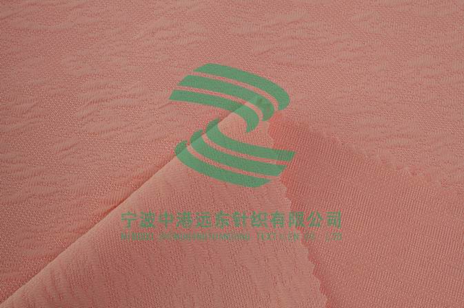 Electronic Jacquard Double Knit(图1)