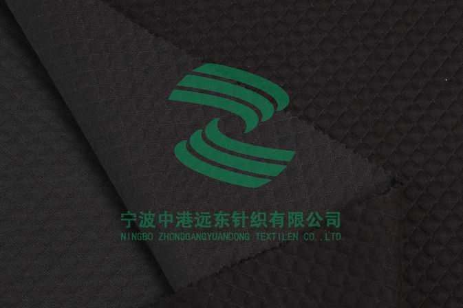 Electronic Jacquard Double Knit(图1)