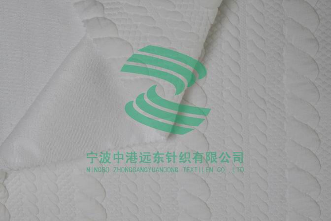 Electronic Jacquard Double Knit(图1)