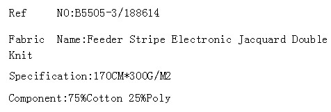 Feeder Stripe Electronic Jacquard Double Knit(图2)